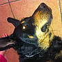 Cheyenne participe au concours pour gagner de l'argent avec cette photo :