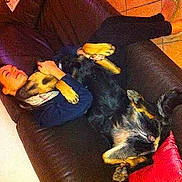 Cheyenne participe au concours pour gagner de l'argent avec cette photo :