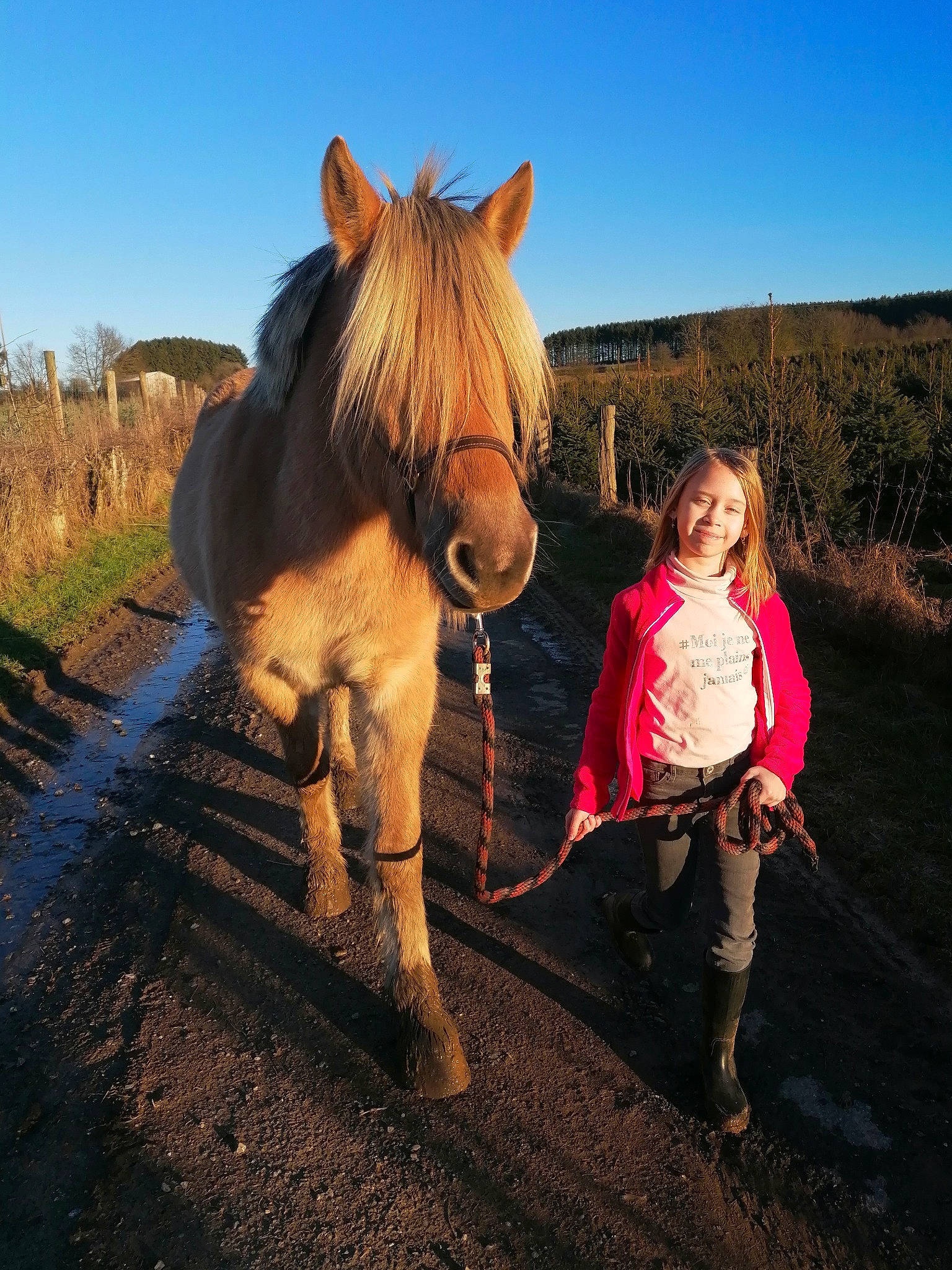 Stitch a rejoint le concours — aidez-le/la à gagner de superbes lots ! child, friendship, fun, happy, horse, horse_supplies, landscape, mammal, mane, mare, pack_animal, pony, ranch, recreation, rein, riding_instructor, rural_area, sky, stallion, working_animal