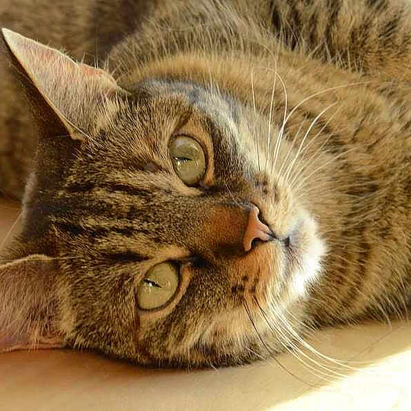 Torri is registered to the contest to win money with this photo: