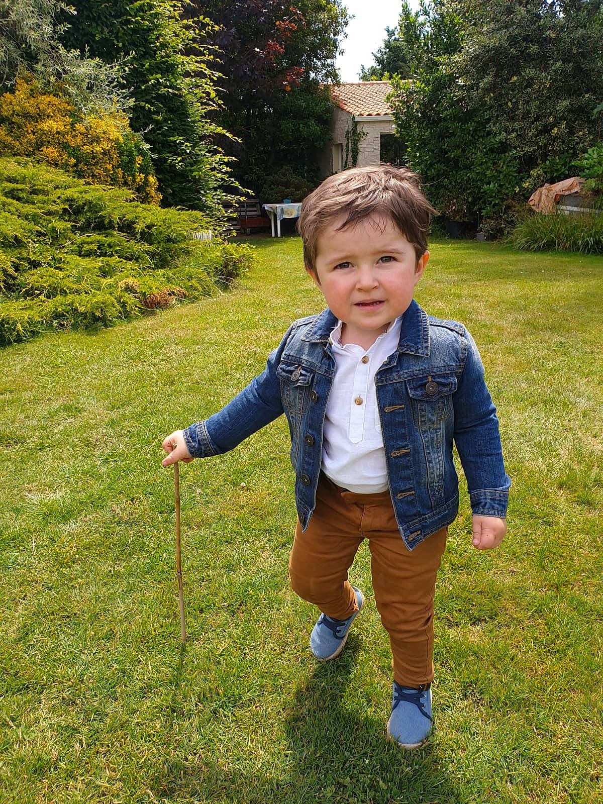 Sasha a rejoint le concours — aidez-le/la à gagner de superbes lots ! child, garden, grass, grass_family, jacket, jeans, lawn, leaf, meadow, outerwear, person, plant, recreation, spring, toddler, tree, vacation, walking