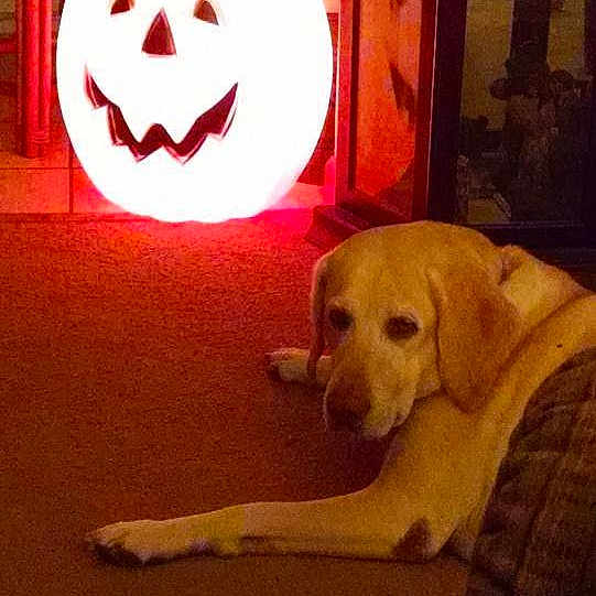 Buford joined the competition — help win amazing prizes!