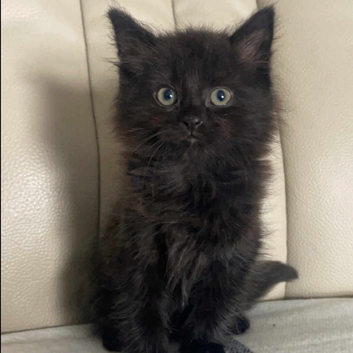 Pablo