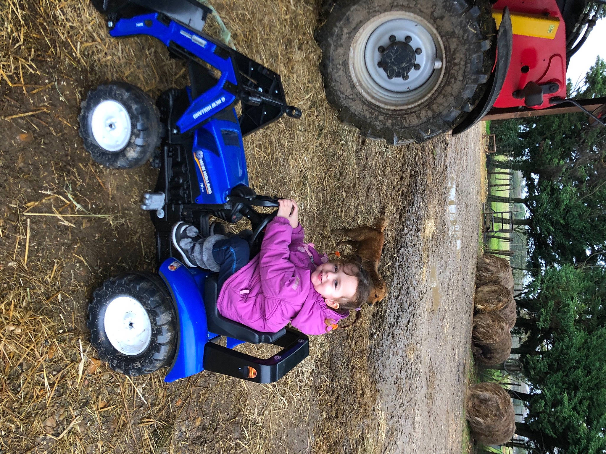 Faustine a rejoint le concours — aidez-le/la à gagner de superbes lots ! automotive_design, automotive_exterior, automotive_tire, automotive_wheel_system, bumper, car, fender, joy, motor_vehicle, person, plant, recreation, rim, spoke, synthetic_rubber, tire, toddler, toy, tread, tree