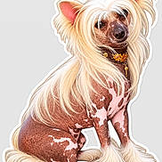 Pharaon a rejoint le concours — aidez-le/la à gagner de superbes lots ! dog, hairless_dog, long_hair, wig, costume, jewelry, collar, seated, portrait, pet, animal, canine, pink_skin, brown_spots, fluffy_tail, fluffy_legs, glamorous, sticker, illustration, studio_background