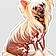Pharaon