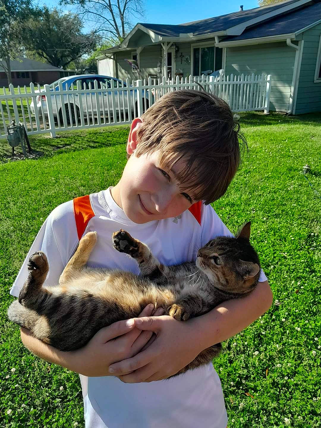 Cleo is registered to the contest to win money with this photo: cat, fawn, felidae, fish, fur, grass, house, mammal, plant, rabbit, recreation, sky, small_to_medium_sized_cats, smile, tail, tree, vertebrate, whiskers, wildlife_biologist, window