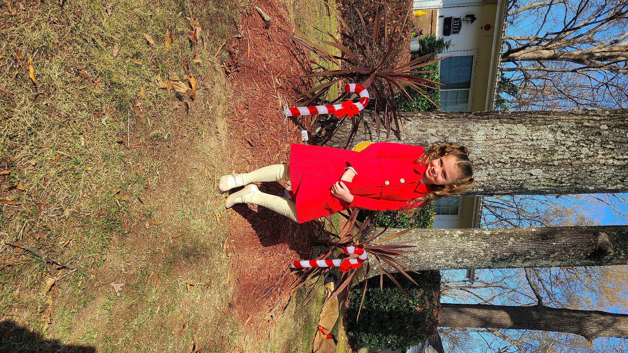 Makenzie joined the competition — help win amazing prizes! carmine, fun, grass, joy, landscape, leisure, people_in_nature, person, plant, recreation, shadow, sky, slope, soil, tree, twig, window, winter