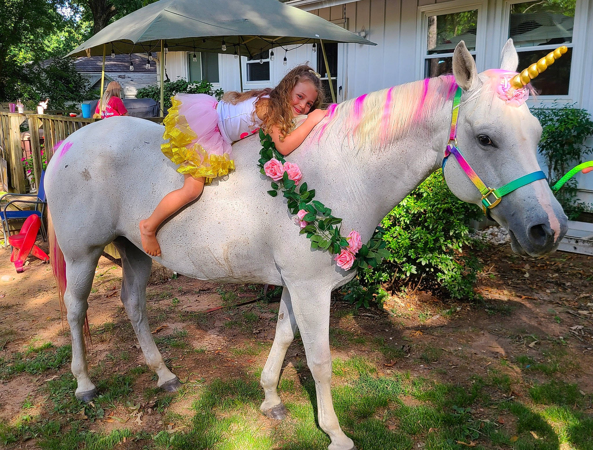 Makenzie is registered to the contest to win money with this photo: bridle, event, grass, grassland, happy, horse, horse_supplies, horse_tack, joy, landscape, livestock, mane, mare, pack_animal, pasture, person, plant, recreation, rein, snout