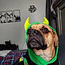 dog, pet, hoodie, costume, indoor, brown_dog, yellow_horns, green_clothing, canine, portrait, bed, plaid_blanket, furniture, wall_art, curtain, closeup, animal, cute, serious_expression, domestic_animal