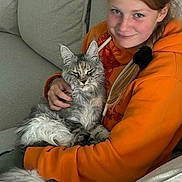 Vaya participe au concours pour gagner de l'argent avec cette photo : braid, casual_clothing, cat, comfortable, couch, cuddling, domestic_animal, feline, fluffy_cat, girl, hand, home, indoor, long_hair, maine_coon, orange_hoodie, pet, relaxed, seated, smiling