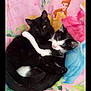 cat, kitten, black_cat, black_and_white_cat, cuddle, hug, cute, pet, animal, feline, sleeping, resting, blanket, princess_theme, pink, blue, indoor, comfort, soft, adorable