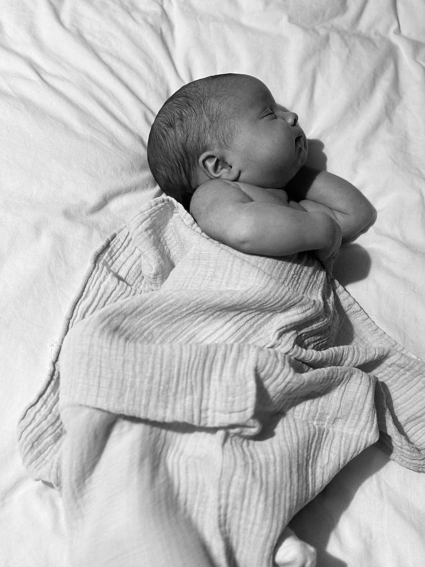 Theo is registered to the contest to win money with this photo: newborn, baby, sleeping, blanket, bed, soft, texture, peaceful, infant, wrapped, resting, cozy, monochrome, black_and_white, portrait, cute, small, child, skin, relaxation