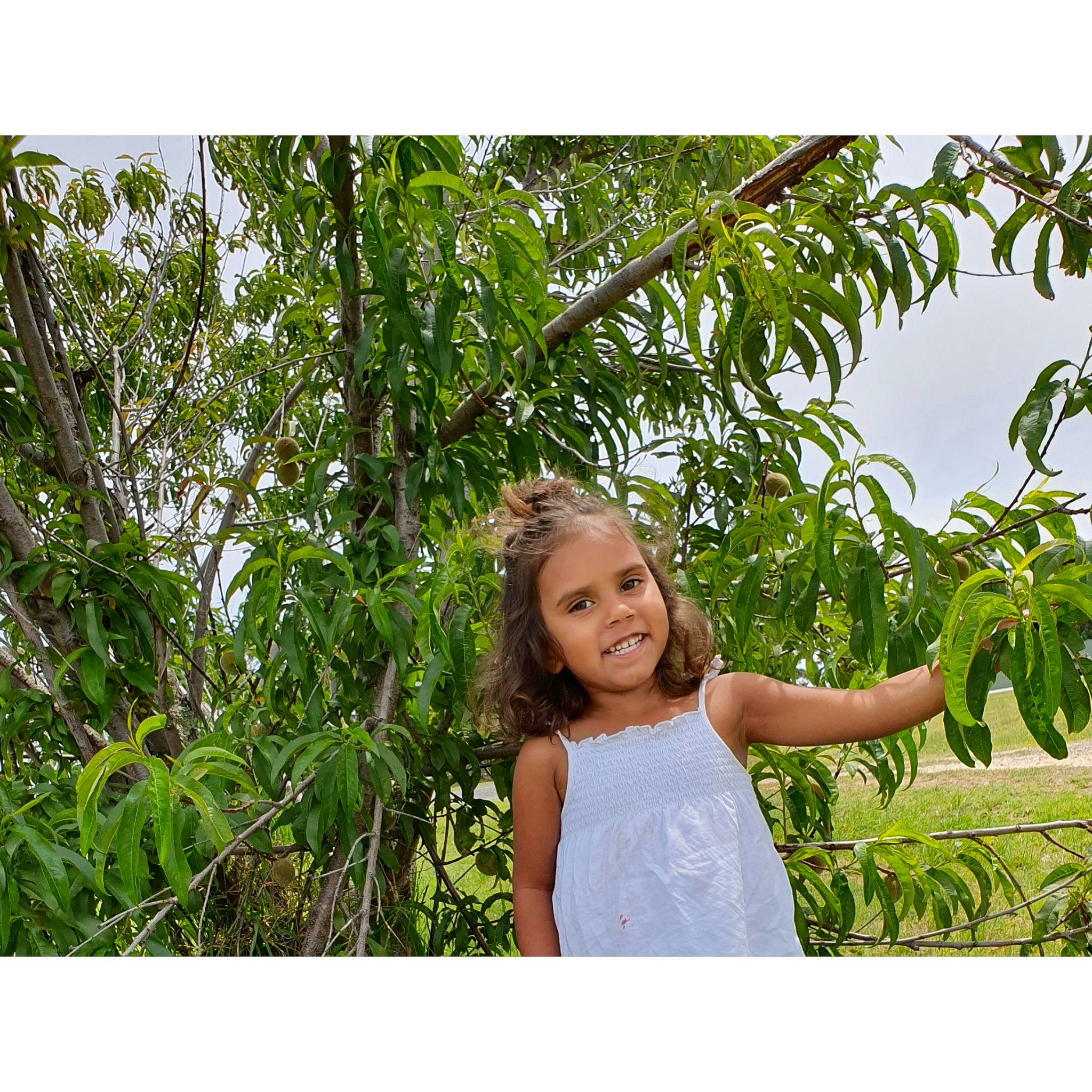 Tashari joined the competition — help win amazing prizes! botany, grass, joy, jungle, leaf, people_in_nature, person, photography, plant, smile, tree, vacation, woody_plant