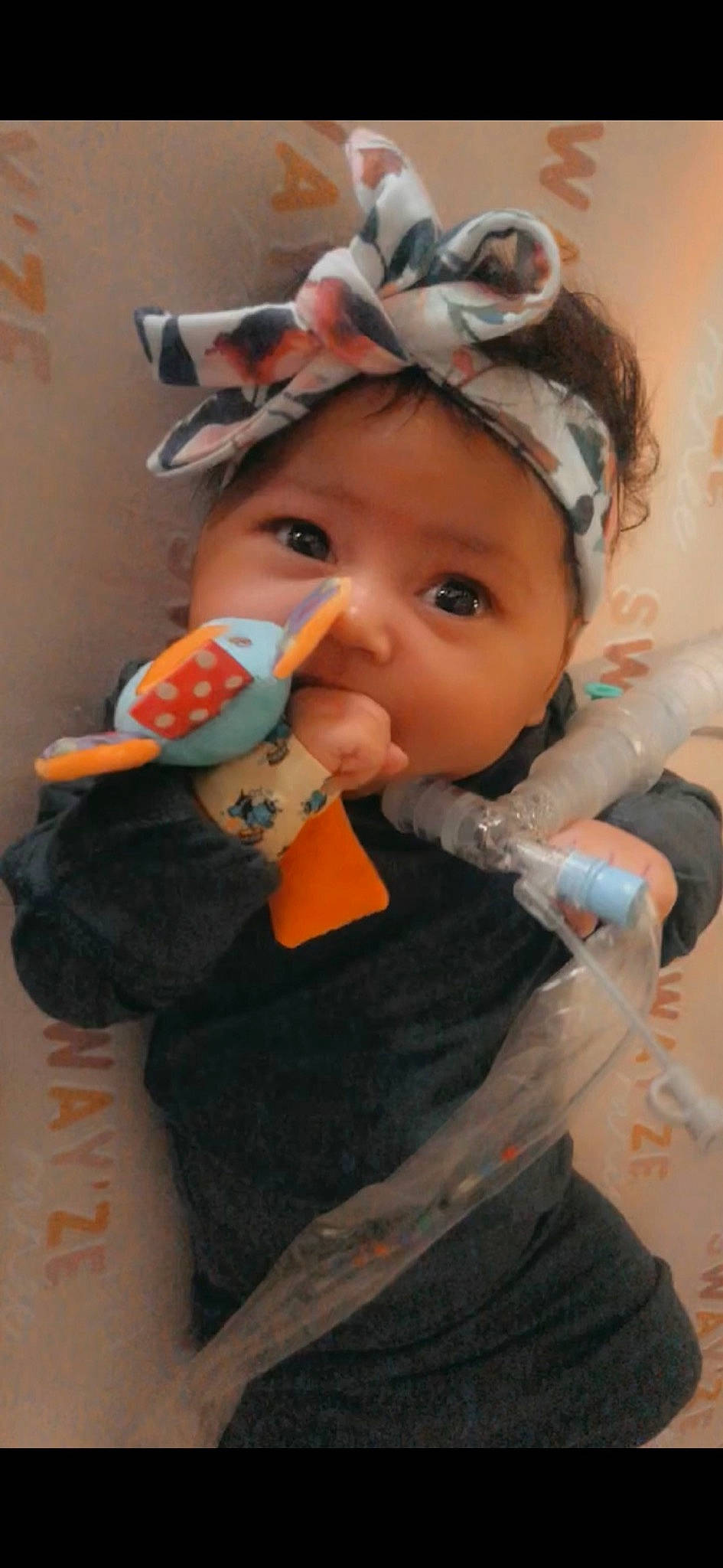 Swayze joined the competition — help win amazing prizes! baby, baby_toddler_clothing, cheek, child, comfort_food, dress, drinkware, event, eyelash, face, finger, fun, happy, headwear, lip, nose, person, skin, stuffed_toy, sweetness