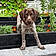 Tucker