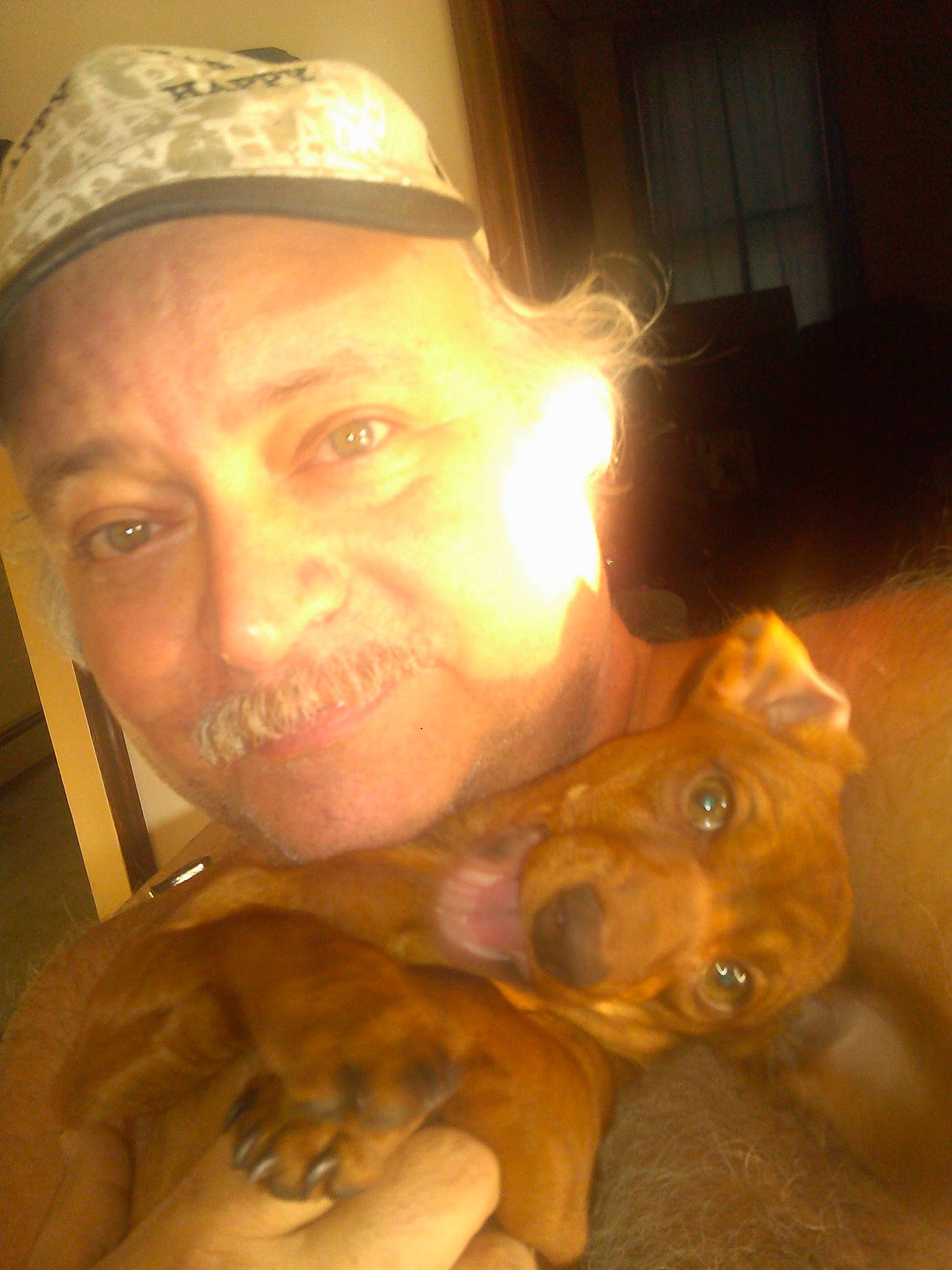 Gidget is registered to the contest to win money with this photo: carnivoran, dog, dog_breed, dog_breed_group, dog_like_mammal, dogue_de_bordeaux, ear, mammal, mouth, nose, nova_scotia_duck_tolling_retriever, person, puppy, selfie, snout, vertebrate