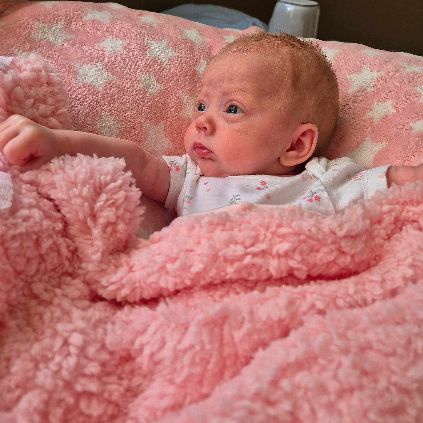 Trixie joined the competition — help win amazing prizes! baby, bed, bedroom, blanket, bodypart, couch, crib, face, finger, furniture, hand, head, indoors, infantbed, newborn, person, photography, portrait, quilt, room