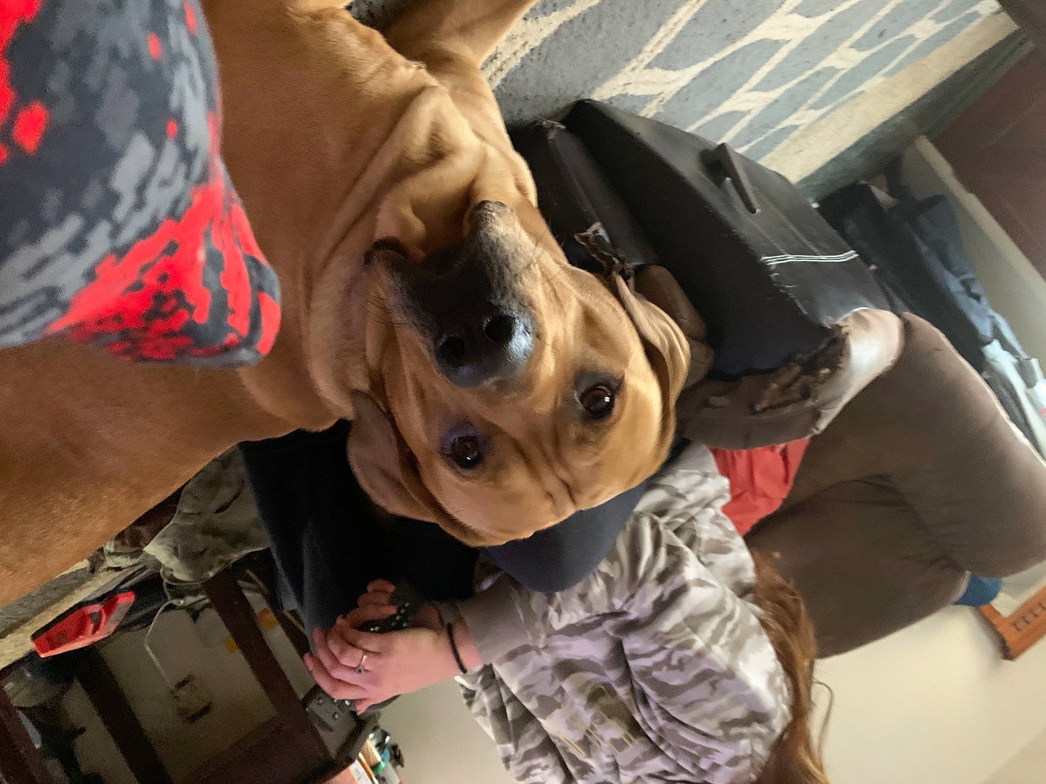 Tank Da Bank is registered to the contest to win money with this photo: adventure, auto_part, bag, child, eyewear, fashion_accessory, fun, gesture, goggles, human_leg, luggage_and_bags, mouth, personal_protective_equipment, selfie, street_fashion, sunglasses, vehicle_door