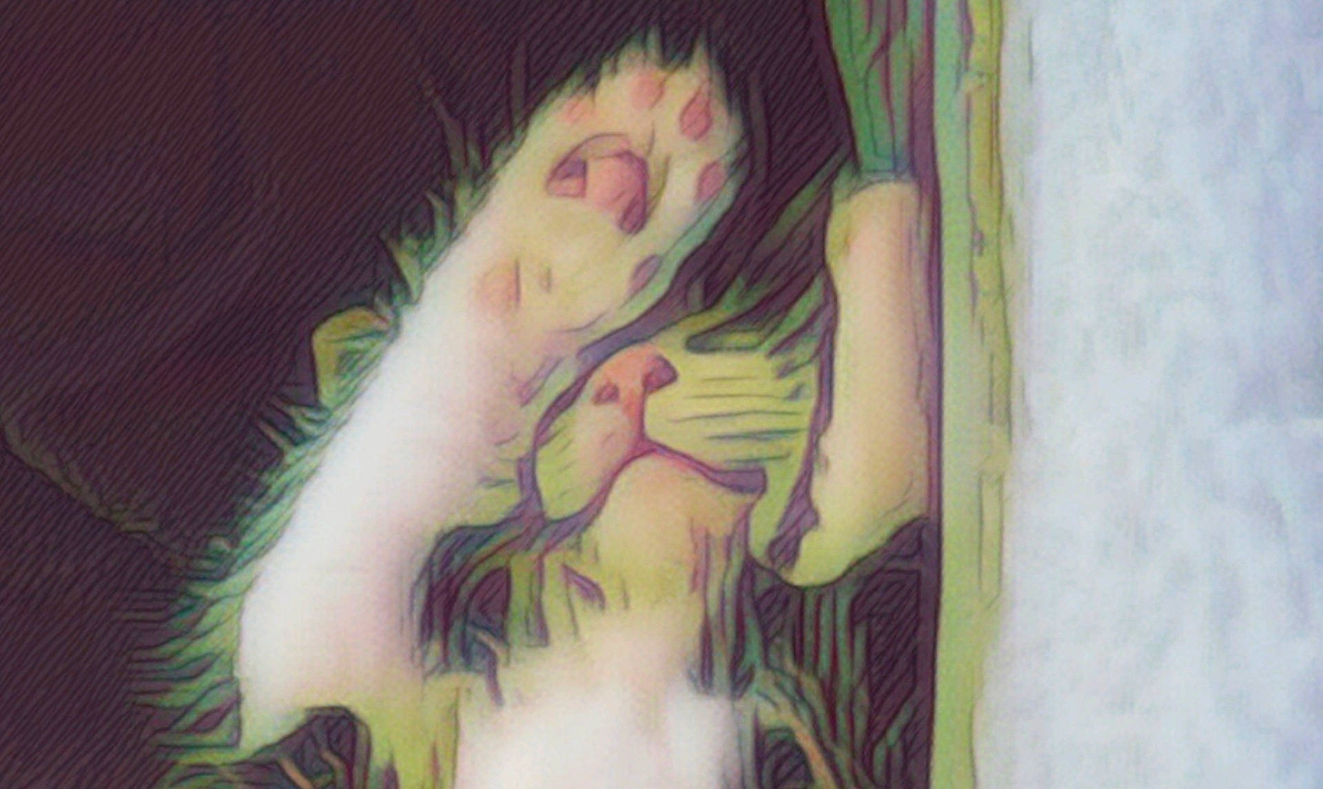 Sushi joined the competition — help win amazing prizes! abstract, animal, artistic, cat, claws, close_up, cute, feline, fur, indoor, lying_down, nose, pastel_colors, paw, pet, relaxed, sketch_effect, sleeping, soft_focus, whiskers