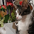 Holly K.