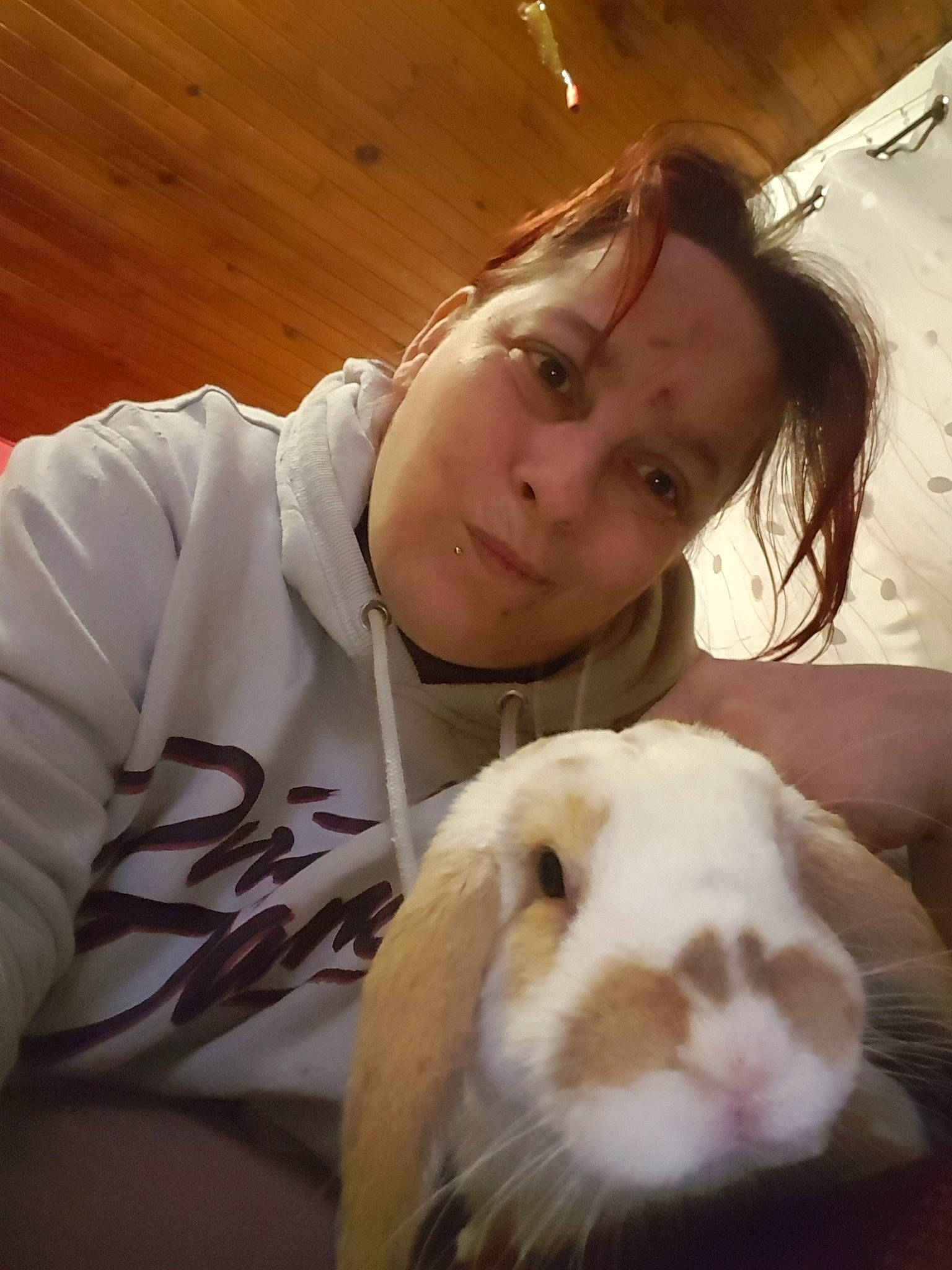 Oréo a rejoint le concours — aidez-le/la à gagner de superbes lots ! domestic_rabbit, ear, fawn, fur, guinea_pig, nose, person, rabbit, rabbits_and_hares, rodent, whiskers