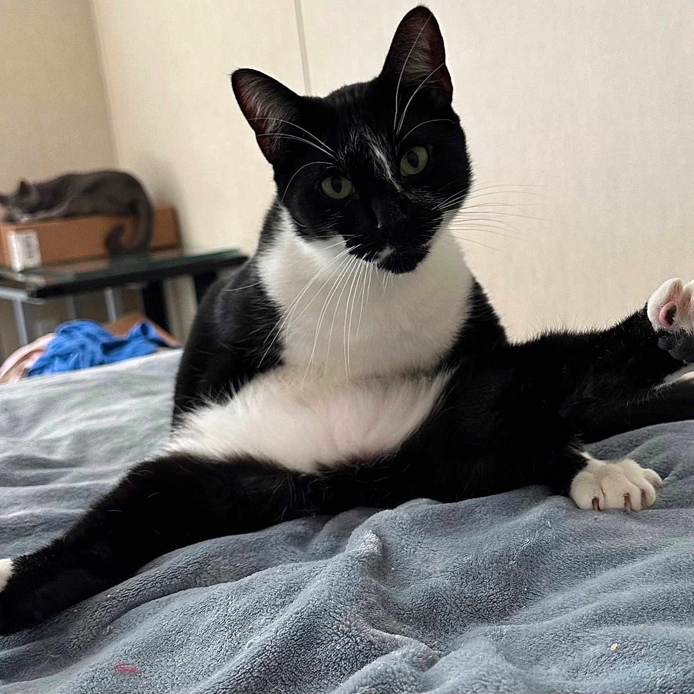 Binx