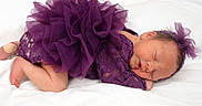 Genesis joined the competition — help win amazing prizes! baby, blanket, closeup, curled_up, cute, fashion, flower, headband, indoor, infant, lace, newborn, newborn_photography, peaceful, portrait, purple_dress, resting, sleeping, tutu, white_background