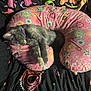 Kallie is registered to the contest to win money with this photo: cat, sleeping, pillow, pink, flower_pattern, blanket, black, heart_pattern, indoor, pet, fur, collar, resting, cozy, cute, animal, soft, colorful, patterned, relaxing