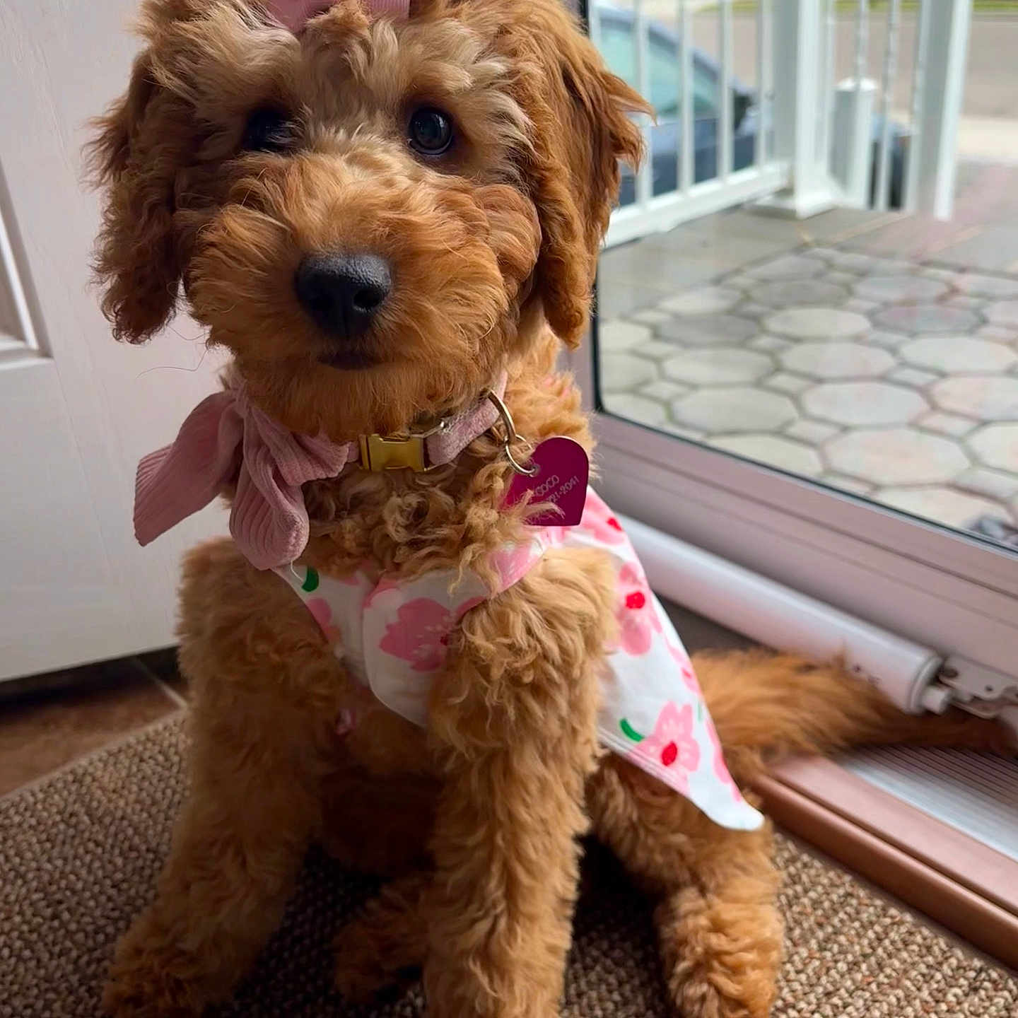 Coco
