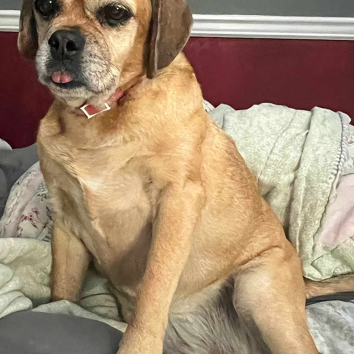 Lucy