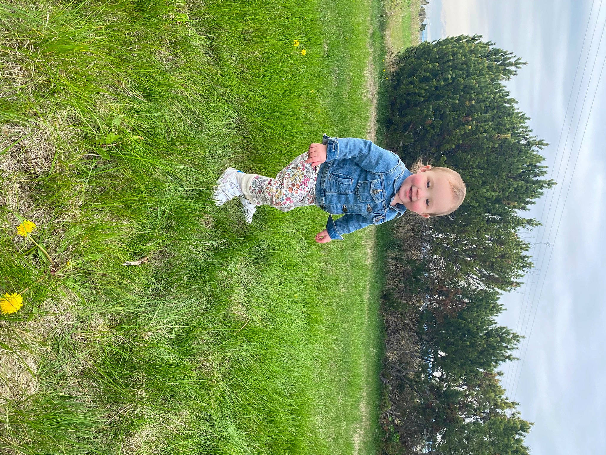 Maleigha is registered to the contest to win money with this photo: biome, botany, electric_blue, fun, grass, grass_family, grassland, groundcover, happy, joy, lawn, leaf, leisure, people_in_nature, person, plant, recreation, shrub, slope, toddler