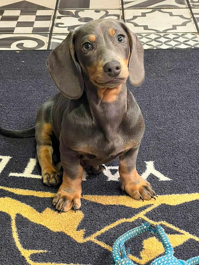 Ernest