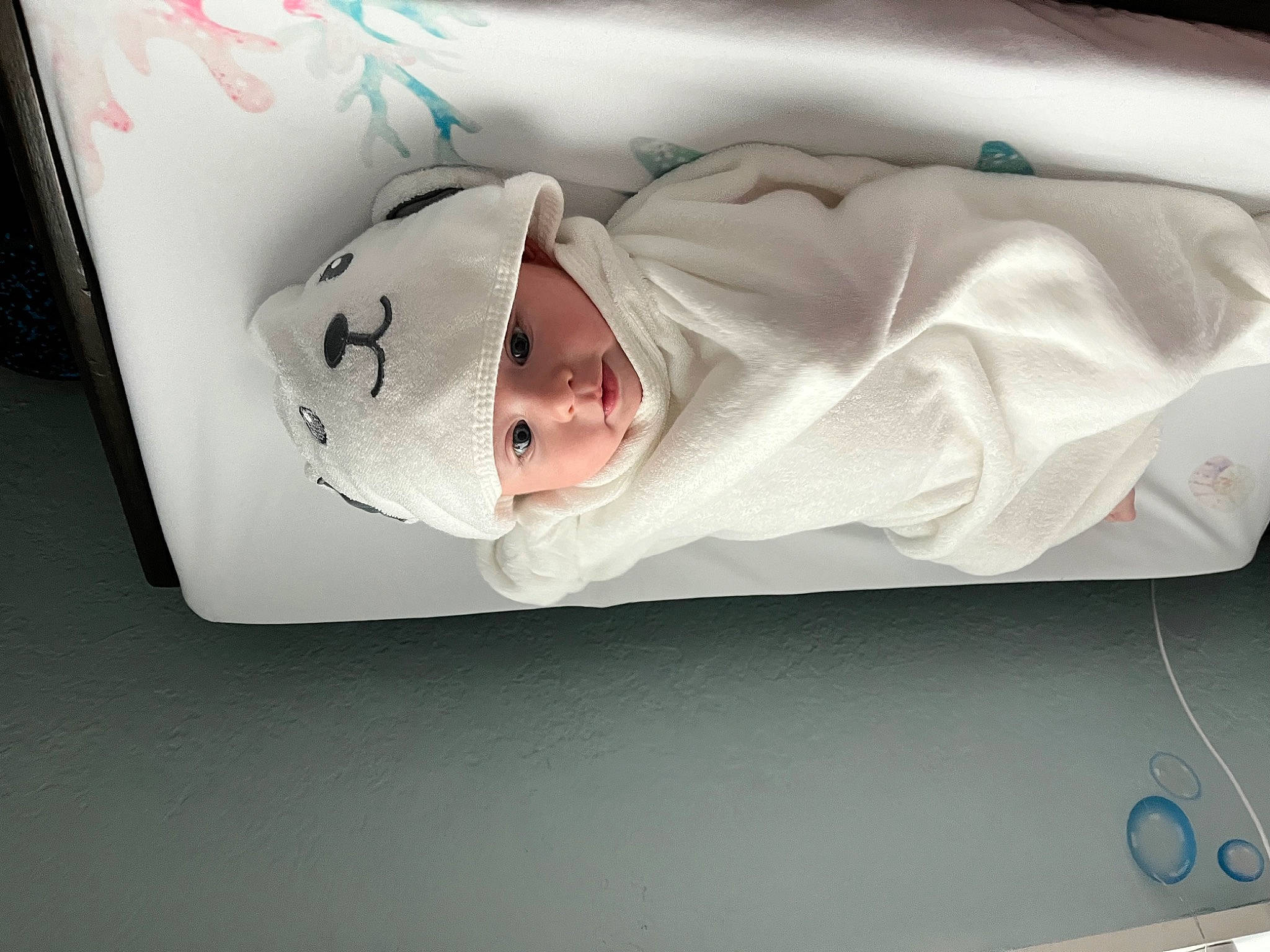 Kasey joined the competition — help win amazing prizes! art, baby, baby_products, bedding, carmine, child, comfort, comfort_food, event, eyelash, headwear, linens, person, room, sleeve, smile, toddler, window