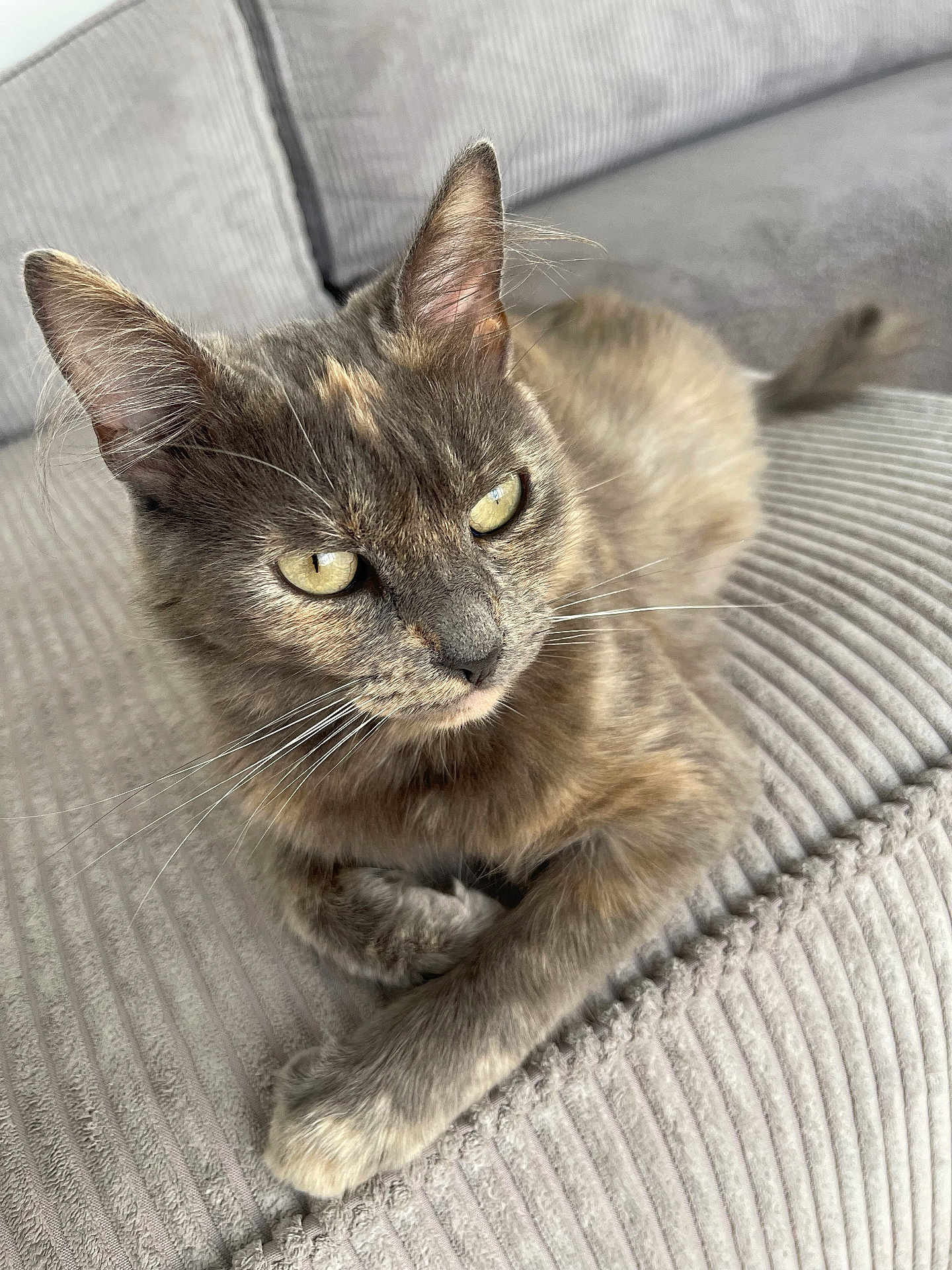 Ruby