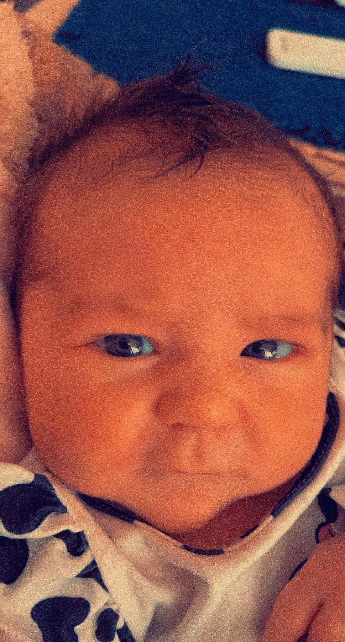 Maisyn is registered to the contest to win money with this photo: baby, baby_toddler_clothing, cheek, chin, cool, ear, eye, eyebrow, eyelash, forehead, hairstyle, happy, head, iris, lip, mouth, neck, nose, person, skin