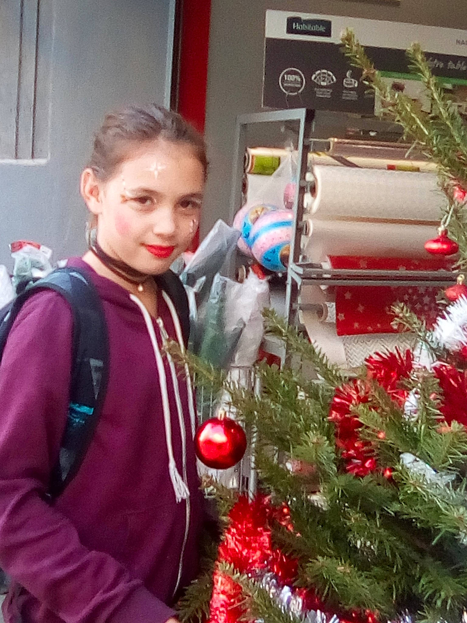 Lou-ann participe au concours pour gagner de l'argent avec cette photo : christmas, christmas_decoration, christmas_tree, event, holiday, person, plant, tree