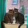 Luna And Chicho