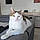 Milou
