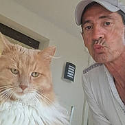 Caramel a rejoint le concours — aidez-le/la à gagner de superbes lots ! man, cat, indoor, selfie, white_cap, fluffy_cat, orange_cat, white_shirt, wall_light, door, window, facial_expression, pouting, pet, animal, feline, portrait, closeup, human, casual