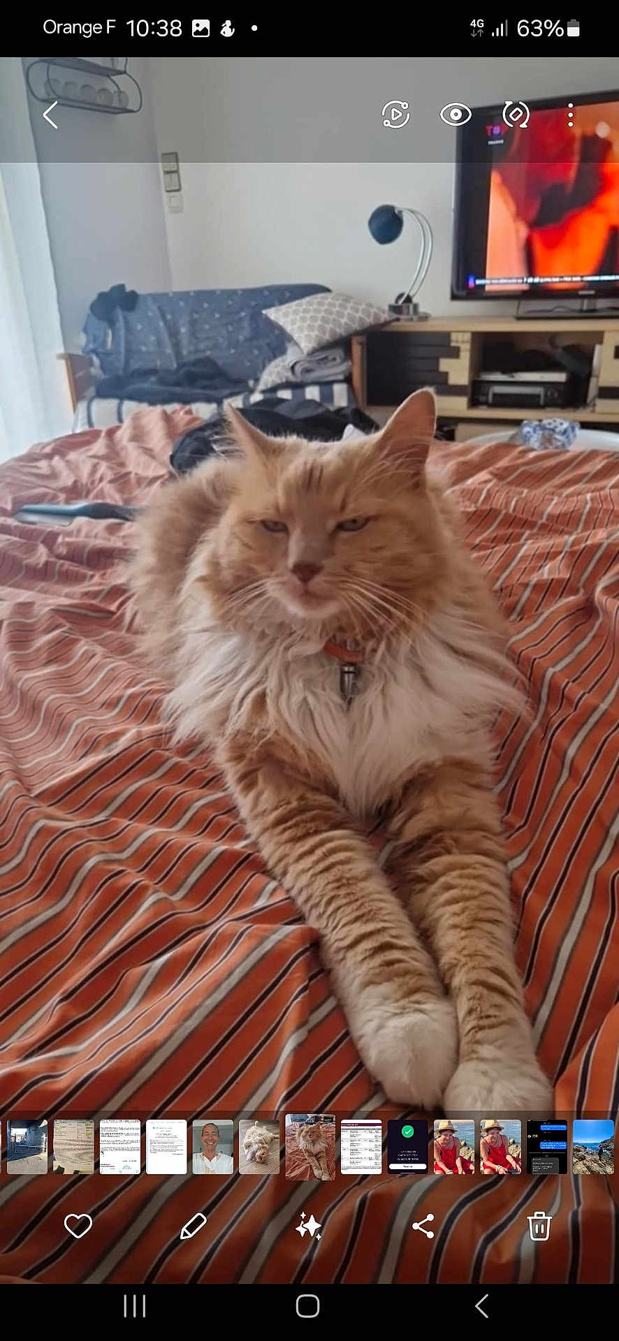 Caramel