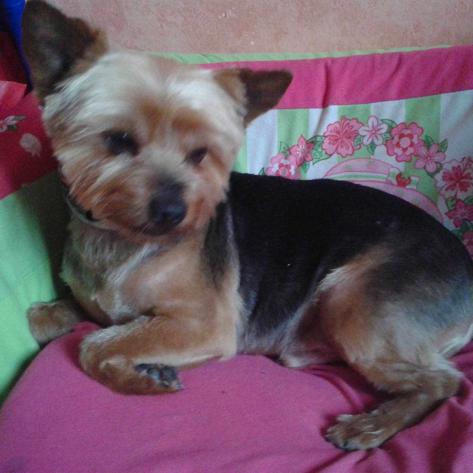 Asti