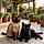 Bagheera Et Minou