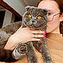 Bali participe au concours pour gagner de l'argent avec cette photo : person, cat, gray_cat, glasses, amber_eyes, holding, indoor, sweater, cozy, close_up, portrait, fur, hand, nail_polish, ring, face, pet, domestic_animal, warm_lighting, casual