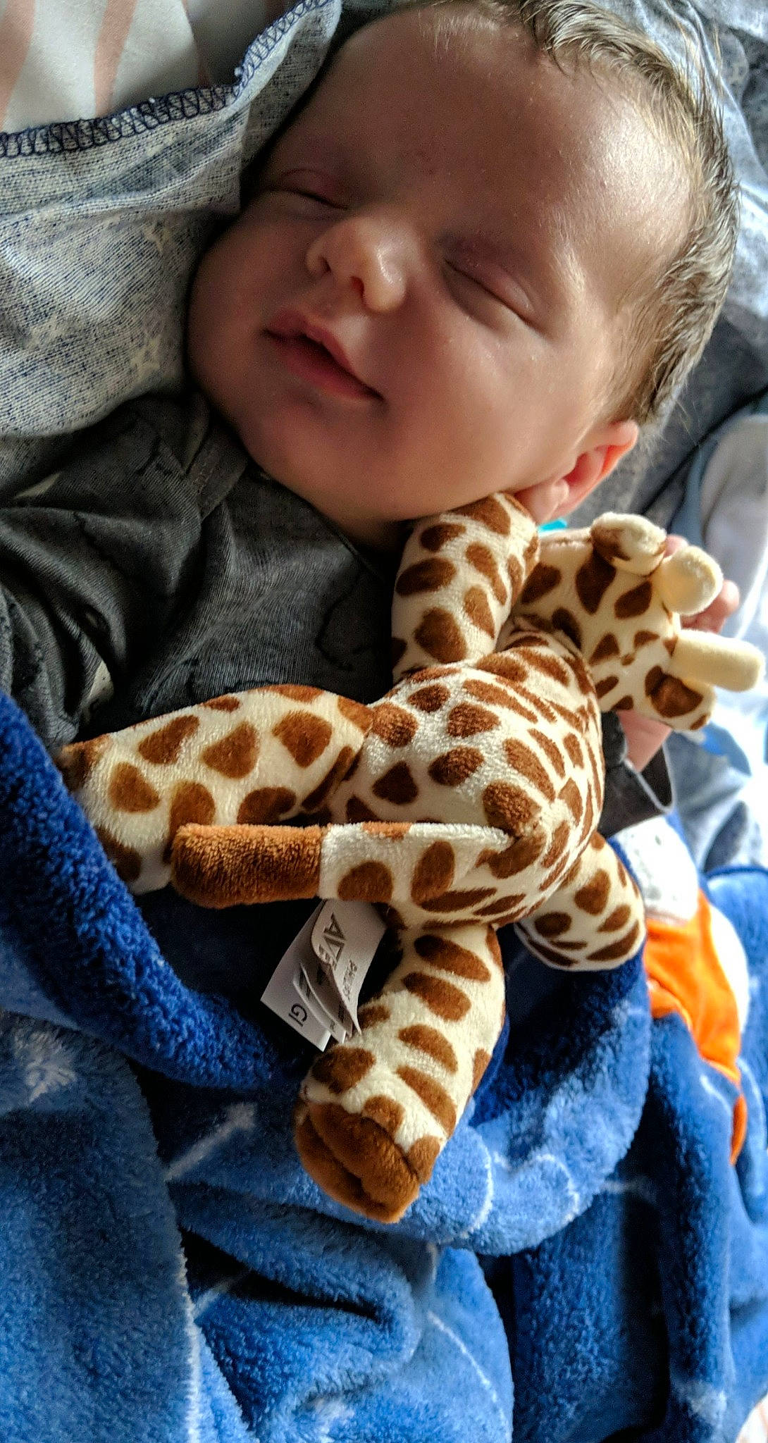 Korbin joined the competition — help win amazing prizes! baby, child, ear, fawn, giraffe, giraffidae, pattern, person, play, terrestrial_animal, toddler, wildlife