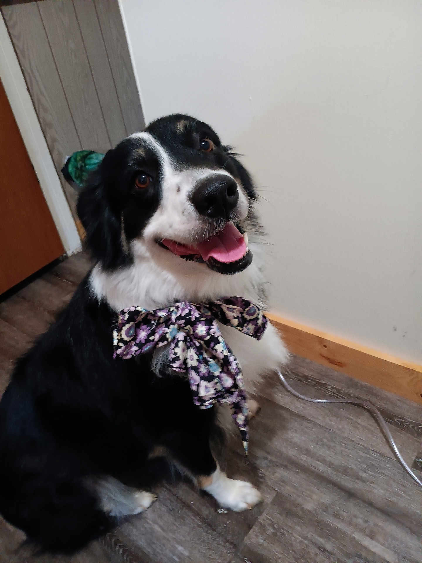Bella Mae