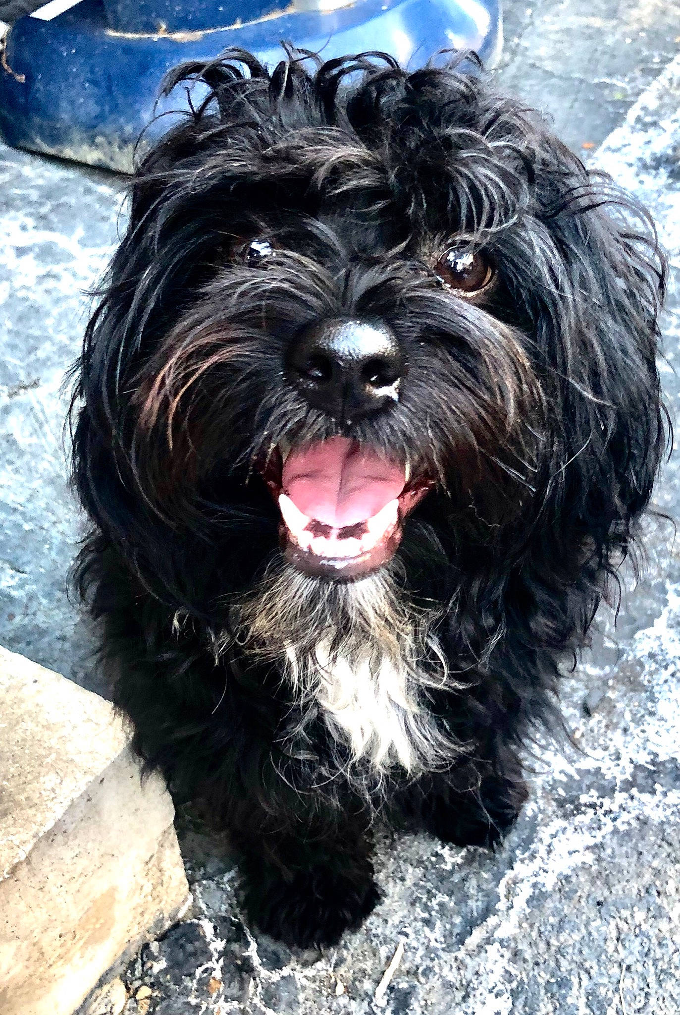 Debo joined the competition — help win amazing prizes!