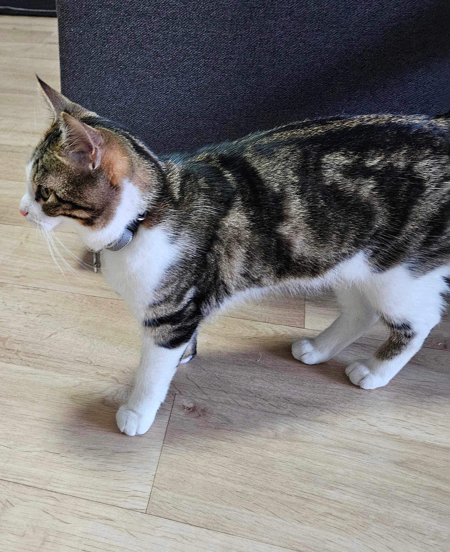 Yuki