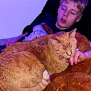 Arlo is registered to the contest to win money with this photo: bedroom, blanket, boy, cat, child, cozy, cuddling, furry, hand, indoor, nap, orange_cat, pet, pillow, portrait, relaxing, sleeping, soft_toy, tabby_cat, tshirt