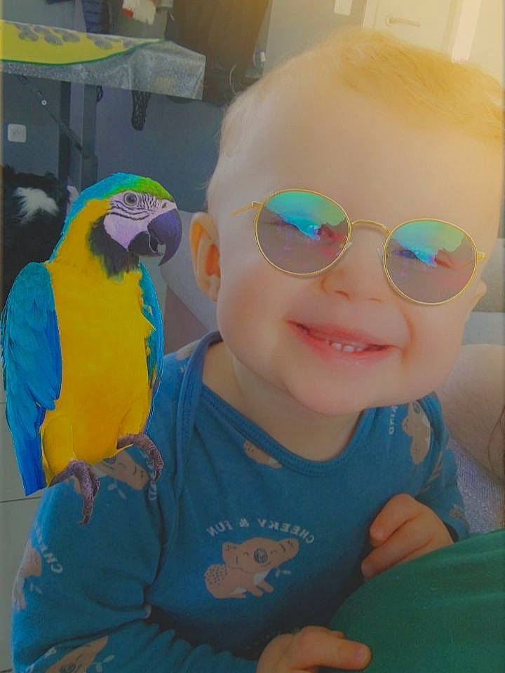 Evan participe au concours pour gagner de l'argent avec cette photo : azure, baby_toddler_clothing, beak, bird, eyewear, fun, glasses, goggles, happy, joy, macaw, nose, parakeet, parrot, person, personal_protective_equipment, skin, smile, sunglasses, t_shirt